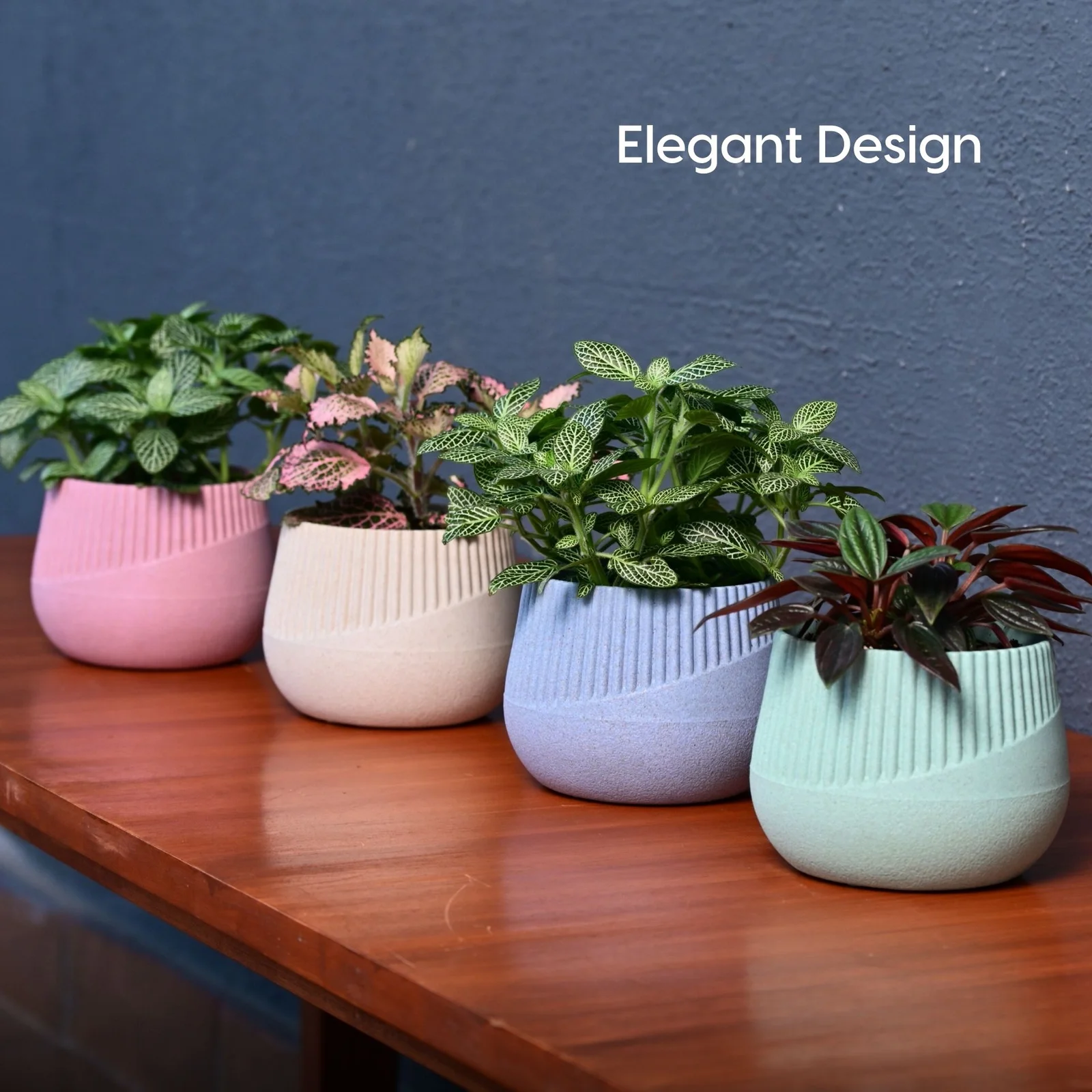 Bamboo Fiber Plant Pot – 4-Inch | Stylish Tabletop Planter For Home & Office Decor Additional View-0