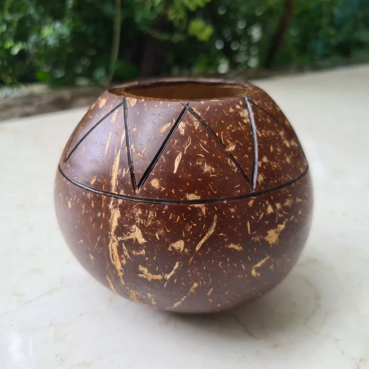 Hand Carved Coconut Shell Zig Zag Planter Pot - Sustainable Gardening Additional View-0