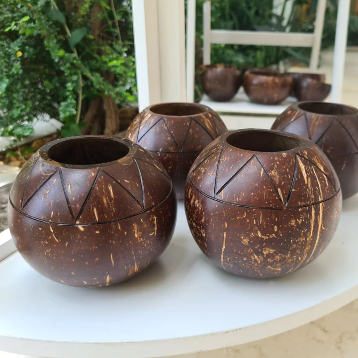 Hand Carved Coconut Shell Zig Zag Planter Pot - Sustainable Gardening Additional View-2