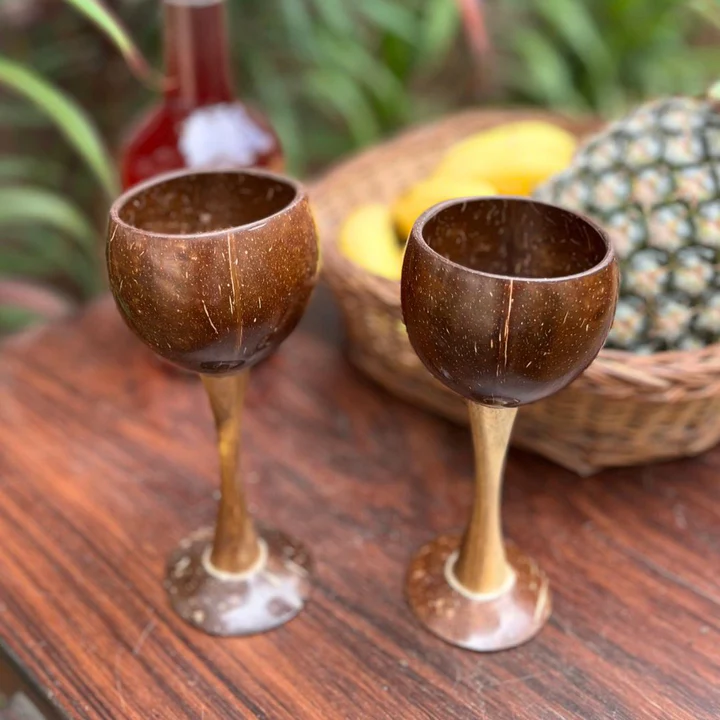 Coconut Shell & Wooden Wine Glasses – Handcrafted Eco-Friendly Red Wine Glasses (Set Of 2) Additional View-1