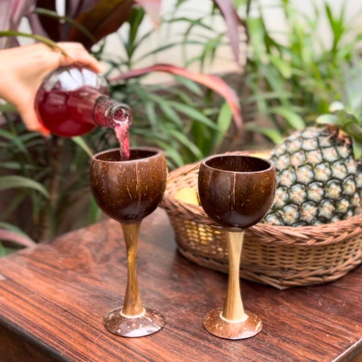 Coconut Shell & Wooden Wine Glasses – Handcrafted Eco-Friendly Red Wine Glasses (Set Of 2) Additional View-2