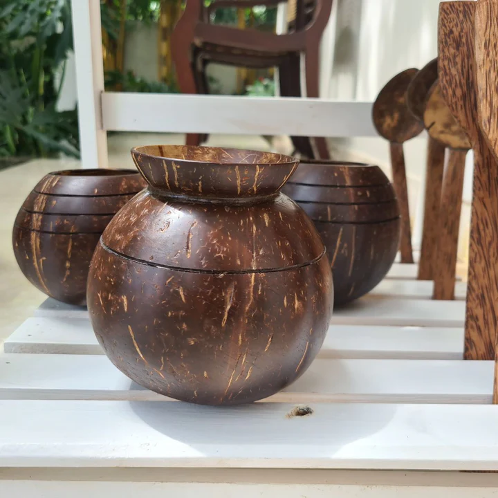 Coconut Shell Plant Pot – Eco-Friendly Indoor Planter Additional View-2